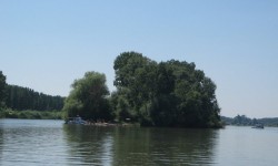 Tisa